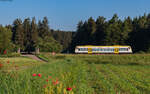VT 237 als SWE 69709 (Villingen - Rottweil) bei Zollhaus 25.6.24