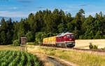 232 088 mit dem DGS 55540 (Rottweil - Villingen) bei Lauffen 6.7.26