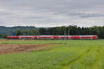 RE5 Lindau Insel-Stuttgart am 08.08.2021 bei Mochenwangen.