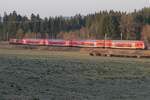 Zwischen Unteressendorf und Hochdorf befindet sich 146 236-5 mit den Wagen des RE 5 / 4206 auf der Fahrt von Lindau-Reutin nach Stuttgart (25.03.2022)