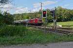 Die abgebgelte 1116 085 am Zugende des IC 890, Bregenz - Frankfurt (M) Hbf, wird im Schussentobel bei Kilometer 163.2 das erste von insgesamt sieben Mal ber die Schussen gezogen.