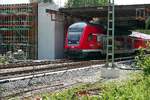 Da die Brücke der Eisenbahnstraße/B 465 in Biberach (Riß) nicht hoch genug ist, um eine Oberleitung darunter durchzuführen, wird neben der alten Brücke eine neue Brücke gebaut. Am 16.07.2019 passiert RE 4218 von Lindau nach Stuttgart die Baustelle. Aufnahmestandort vor einem Bauzaun.