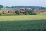 225 004-1 mit leeren Wagen kurz vor der Einfahrt in den Bahnhof Roßberg am 02.07.2010.