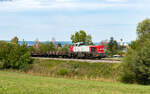 4185 116 mit dem EZK 55250 (Rottenacker - Ulm Rbf) bei Herbertingen 24.8.26