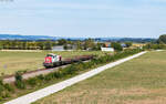 4185 116 mit dem EZK 55250 (Rottenacker - Ulm Rbf) bei Herbertingen 24.8.26
