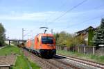 Ein Richtiges Schmankerl heute auf der Neckar Alb Bahn die RTS 1216 902 mit sehr langem Bauzug in Metzingen(Wrtt)ri.Plochingen am 25.4.10