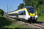 8442 305 und 8442 814 (Bombardier Talent 2) unterwegs bei Bempflingen.