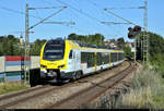 1430 557-7 (ET 6.14) und 1428 020-0 (ET 4.06 | Stadler FLIRT 160) der Go-Ahead Baden-Württemberg GmbH (GABW) als umgeleiteter IRE 19026 (IRE1) von Stuttgart Hbf nach Karlsruhe Hbf fahren in Sachsenheim, Rodenweg, auf der Bahnstrecke Bietigheim-Bissingen–Bruchsal (Westbahn (Württemberg) | KBS 770).
[30.7.2020 | 18:46 Uhr]