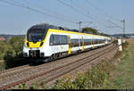 8442 311 und 8442 818 (Bombardier Talent 2) sind unterwegs bei Metterzimmern (Bietigheim-Bissingen).