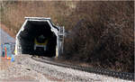 Die Hermann-Hesse-Bahn in Calw - 

Größte Herausforderung bei der Reaktivierung der Bahnstrecke Weil der Stadt - Calw waren die beiden bestehenden Tunnels, Hirsauer Tunnel und Tunnel Forst, die zwischenzeitlich von Fledermäuse als Winterquartier und Schärmplatz genutzt werden. Um es den Fledermäusen zu ermöglichen diese Tunnels weithin nutzen zu können, wurde ca. ein Viertel des für zwei Gleise ausgelegten Tunnels für die Fledermäuse baulich abgetrennt, der sogenannten Fledermauskammer.

Damit die Fledermäuse möglichst nicht in den Bereich des Bahntunnels einfliegen erhielten die Tunnels jeweils auf beiden Seiten 60 bis 80 Meter lange Fledermauseinhausungen und die Fledermäuse auf ihren gewohnten Öffnungen an den eigentlichen Tunnelportalen ihre Zugänge finden.

Die beiden Tunnels werden recht langsam durchfahren, was aber auch mit Bauarbeiten entlang der Strecke im Bereich der Tunnels zusammenhängen könnte.

Hier sieht man Mireo Plus B 963 017/117 im Bereich einer solchen Fledermauseinhausung am Südportal des Hirsauer Tunnels.


07.02.2026 (M)