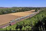 Zwei 8442 (Bombardier Talent 2) sind unterwegs bei Nordheim (Württemberg).