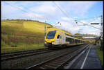 Am Weinberg von Gerlachsheim vorbei ist hier der ET 4.06 von GoAhead am 27.10.2023 um 16.09 Uhr von Würzburg nach Lauda unterwegs.