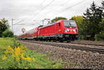 147 010-3 von DB Regio Baden-Württemberg als RB 1???? von Osterburken nach Stuttgart Hbf fährt in Asperg auf der Bahnstrecke Stuttgart–Würzburg (Frankenbahn | KBS 780).
[26.9.2019 | 17:04 Uhr]