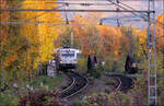 Herbst in Stuttgart - 

Ein Flixtrain nach Berlin gezogen von 193 937 am Stuttgarter Nordbahnhof.

29.10.2026 (M) 