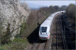Der Frühling kommt ins Remstal und mit ihm die ICEs -    Umgeleiteter ICE 4 in Fahrtrichtung Stuttgart bei Kernen-Rommelshausen.