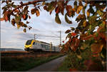 Herbstmorgen im Remstal -     Vorschuss  auf einen Flirt 3-Triebzug der Go-Ahead in Fahrtrichtung Aalen auf der Remsbahn bei Weinstadt-Endersbach.