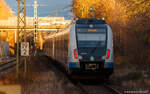 Vor kurzem kam 430 017 aus der Umlackierung aus Aachen zurück. Nun fährt er hier aus dem golden scheinenden Freiberg in Richtung Marbach.
Freiberg, 10.02.2026