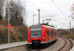 426 524 als RB46 Böblingen-Dettenhausen am 20.11.2020 bei der Einfahrt in Böblingen Zimmerschlag.