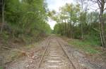 Die wrttembergische Schwarzwaldbahn am 11. Mai 2013 am Bahnbergang zwischen Ostelsheim und Althengstett. Mittlerweile vom Gestrpp befreit.