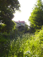 Stillgelegter DB-Bahnhof Markgr�ningen. Das Foto stellt das Original meiner KI-Bearbeitung dar (voriges Foto in meiner Fotoreihe).
Datum: 02.06.2026