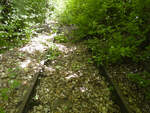 Aufgelassener DB-Bahnhof M�glingen: Die Natur erobert sich das Terrain des alten Bahnhofs zur�ck.