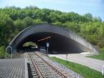 Die Gleise der Vaihinger Stadtbahn fhren parallel zur Landesstrae L 1125 unter der NBS Stuttgart - Mannheim hindurch. ber dem Tunnel beefindet sich der DB Bahnhof Vaihingen/Enz. Hier bei Kilometer 2.2 befindet sich auch der Haltepunkt Vaihingen/Enz WEG als Verknupfungspunkt mit dem DB Bahnhof. 