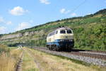 218 480 fährt am 26. Juli 2018 bei Thüngersheim Lz Richtung Würzburg.