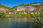 1193 980 WLC und 193 251 ELL/WLC mit einem KLV-Zug bei Karlstadt Richtung Gemünden (Main), 21.09.2019