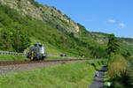 365 221 Railadventure Lz bei Karlstadt Richtung Gemünden, 12.06.2020