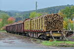 In Lohr am Main gibt es auch eine Holzverladung, hier stehen am Samstagnachmittag den 15.10.2022 beladene Wagons im Ladegleis.