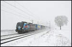 Schneegestöber im Maintal: Die Elektrolokomotive 193 836 (DPB) am 26.01.2026 dem Lkw Walter KLV-Zug am  Fotobaum  bei Retzbach.