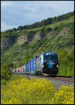 DPB 1293 906 am 19.05.2026 mit einem KLV-Zug im Maintal bei Th�ngersheim.