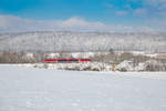 642 Desiro bei Schnee & Sonnenschein auf dem Weg in Richtung Steinach bei der Ausfahrt aus dem Bahnhof Neustadt Aisch, aufgenommen am 11.02.21.