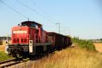 294 717-4 DB Schenker Rail bei Ebersdorf am 01.08.2013.