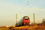 442 310 DB Regio bei Lichtenfels am 10.12.2016.