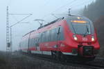 442 804  Markt Ebensfeld  im Nebel bei Steinbach im Frankenwald am 24.11.2016.