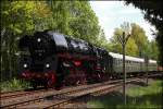 01 0509 wird in wenigen Minuten mit ihrem Sonderzug aus Berlin den Zielbahnhof Neuenmarkt-Wirsberg erreichen. (22.05.2010)