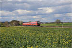 VT 612985-1 hat Regenstauf am 20.4.2026 um 15.24 Uhr hinter sich gelassen und ist hier im Doppel auf dem Weg nach Regensburg Hauptbahnhof.