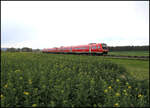 DB 612513 ist hier im Doppel am 21.4.2026 um 16.17 Uhr bei Wenzenbach als RE unterwegs nach Regensburg.