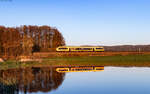 1648 208  Regensburg  als OPB 79702 (Schwandorf - Marktredwitz) bei Oberteich 30.4.26