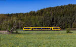 1648 20x als OPB 79716 (Regensburg Hbf - Marktredwitz) bei Pfreimd 30.4.26