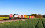 4815 113 mit dem KT 50407 (Regensburg Ost - Altenschwand) bei Zeilarn 30.4.26