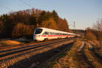 411 010  Naumburg an der Saale  als ICE 90 von Wien Hbf nach Hamburg-Altona bei Postbauer-Heng, 24.02.2019