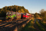 Gerade noch geklappt: 193 277 der ELL/TXL mit einem KLV-Zug bei Postbauer-Heng Richtung Nürnberg, 27.09.2018