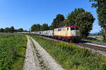 Ein neues Eisenbahn-Unternehmen aus München sorgt für interessante Leistungen auf deutschen Schienen.