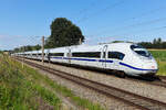 ICE Triebwagen 8029 Europa hat einen blauen Streifen.