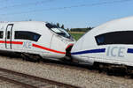 ICE Triebwagen 8029 Europa hat einen blauen Streifen.