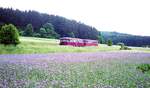 Schienenbus auf der Strecke zwischen Pleinfeld und Gunzenhausen.__01-06-1993