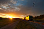 193 724 mit einem Containerzug bei Oberdachstetten im gleißenden Abendlicht Richtung Ansbach, 16.10.2019