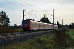 Gegenlichtaufnahme von 425 147-6 der hier wegen einer Baustelle im Gleiswechselbetrieb kurz vor dem Bahnhof Gunzenhausen ist. Aufgenommen am 23.10.2022 bei Laubenzedel am BÜ KM 26.0